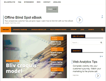 Tablet Screenshot of croquismodel.com